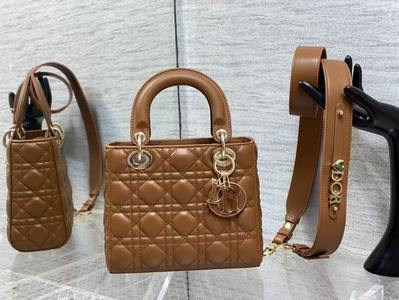 DIOR Handbags 1000